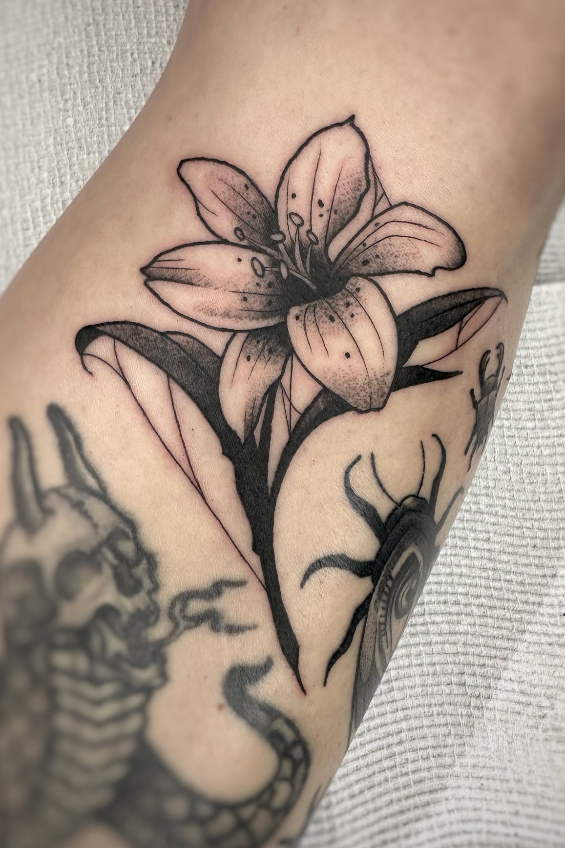 Josh "Jvek" Escoto-Kemp