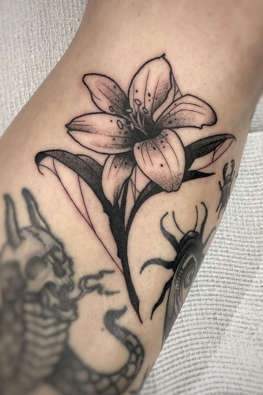 Josh "Jvek" Escoto-Kemp