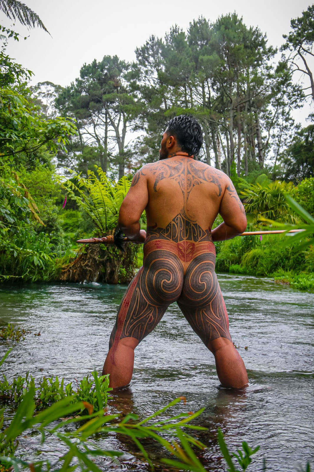 Te Rangihau Toi