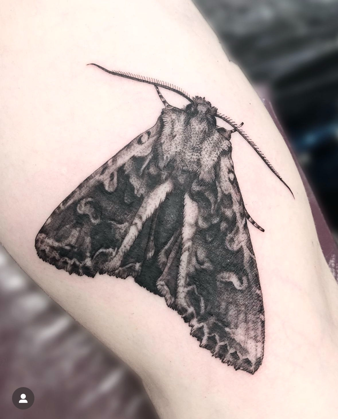 Lee Gutzewitz tattoo work